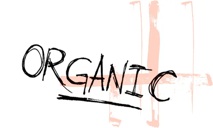 Nogih Chocolates - Nut-Free